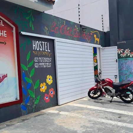 "Le Chat Qui Peche" Hostel A 150 Metros Da Praia De Pajucara Maceió Екстериор снимка